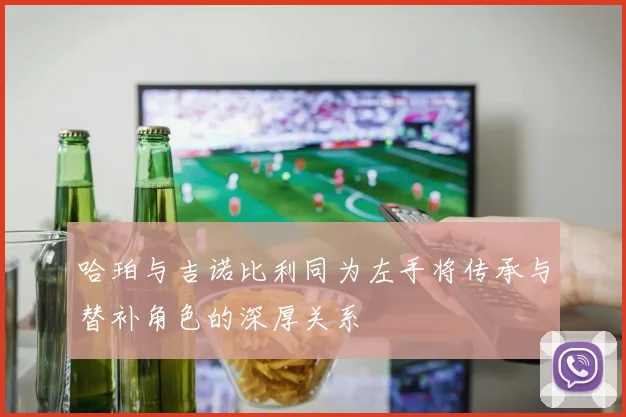 哈珀与吉诺比利同为左手将传承与替补角色的深厚关系